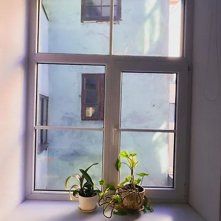 Heart Of Old Appartement